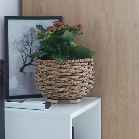 Apartament Kalina With Free Private Parking *